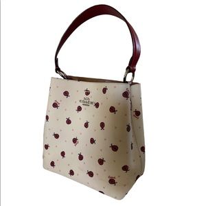 Coach Ladybug Bag